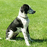 Angebot Lernen Angebot Lernen