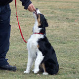 Angebot SKN Angebot SKN